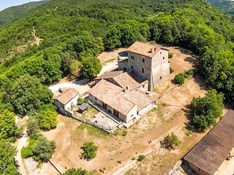 Immagine 5 di Rustico / casale in vendita  in Chiusdino snc a Siena