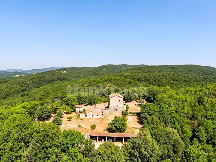 Immagine 7 di Rustico / casale in vendita  in Chiusdino snc a Siena