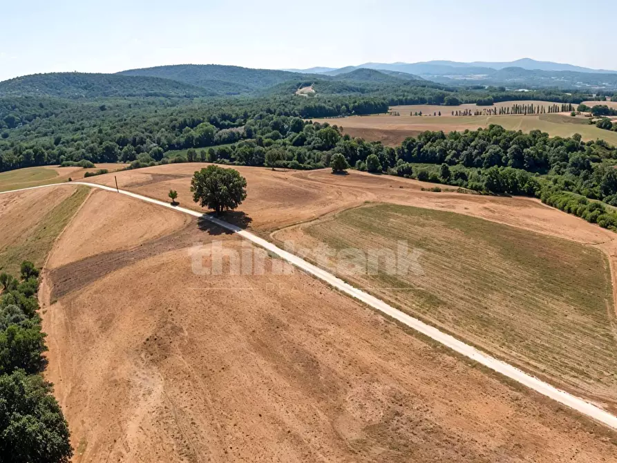 Immagine 16 di Rustico / casale in vendita  in Chiusdino snc a Siena