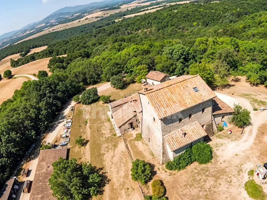 Immagine 6 di Rustico / casale in vendita  in Chiusdino snc a Siena