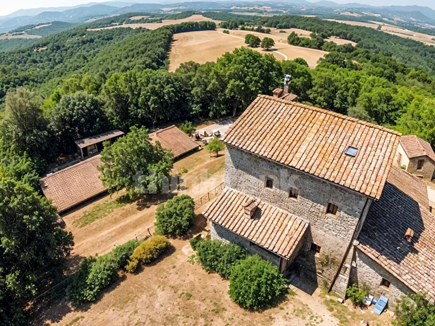 Immagine 4 di Rustico / casale in vendita  in Chiusdino snc a Siena