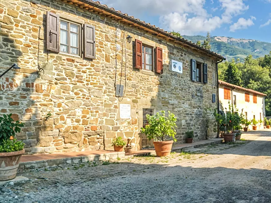 Immagine 5 di Rustico / casale in vendita  in Castelfranco Piandiscò snc a Laterina Pergine Valdarno