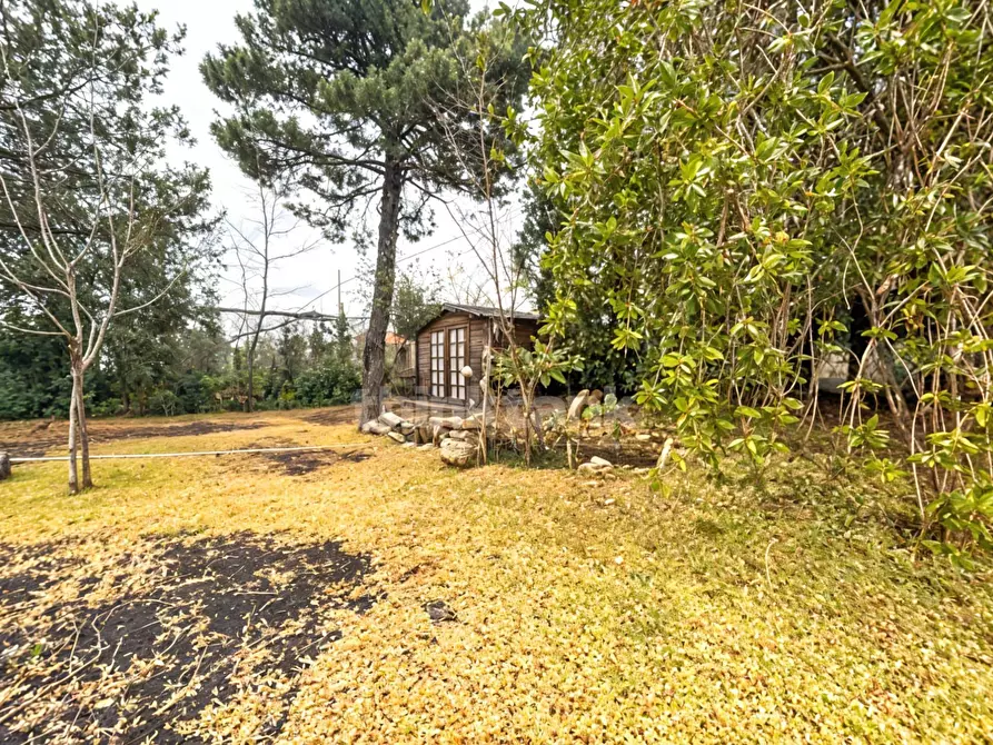 Immagine 27 di Villa in vendita  in Via Ballofuga snc a Milo