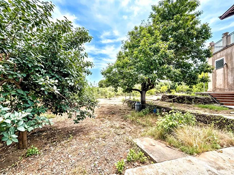 Immagine 5 di Villa in vendita  in via vecchiuzzi snc a Aci Bonaccorsi