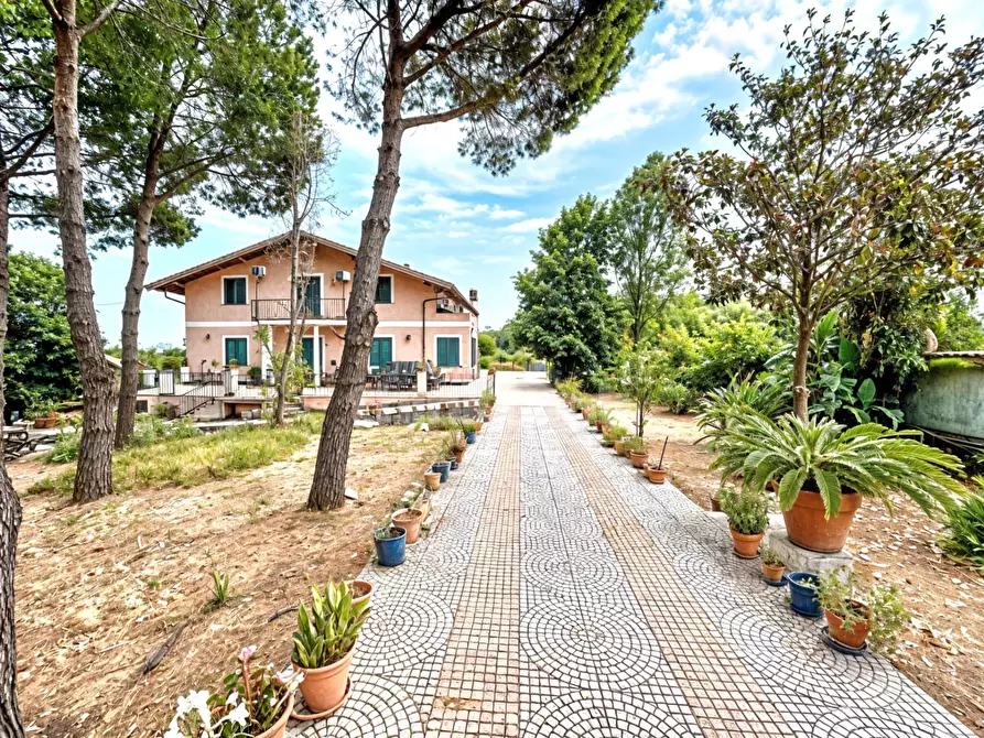 Immagine 3 di Villa in vendita  in via vecchiuzzi snc a Aci Bonaccorsi