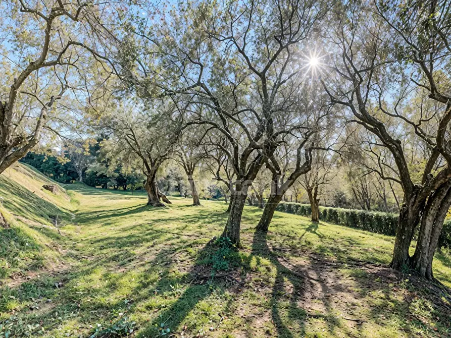 Immagine 21 di Villa in vendita  in Via Del Giardino snc a Massarosa