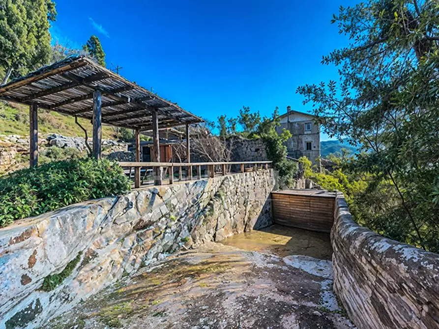 Immagine 23 di Villa in vendita  in Via Del Giardino snc a Massarosa