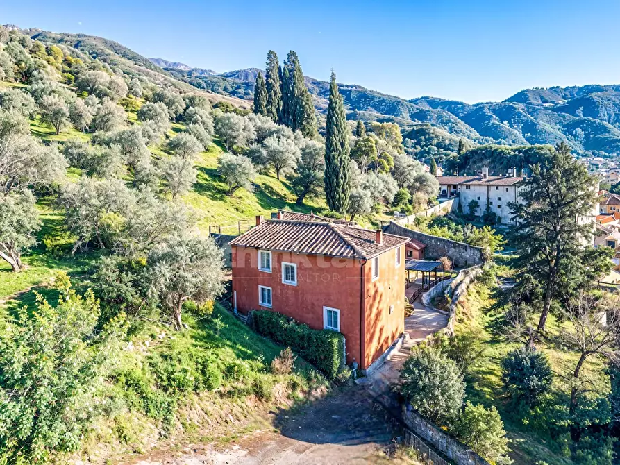 Immagine 2 di Villa in vendita  in Via Del Giardino snc a Massarosa