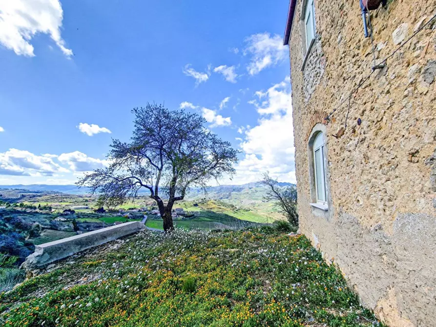 Immagine 6 di Rustico / casale in vendita  in contrada pacinosi snc a Aidone