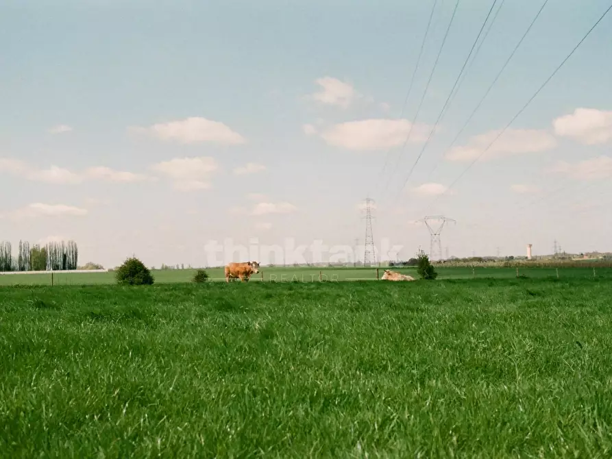 Immagine 1 di Terreno agricolo in vendita  in Via Principe di Piemonte snc a Camporotondo Etneo