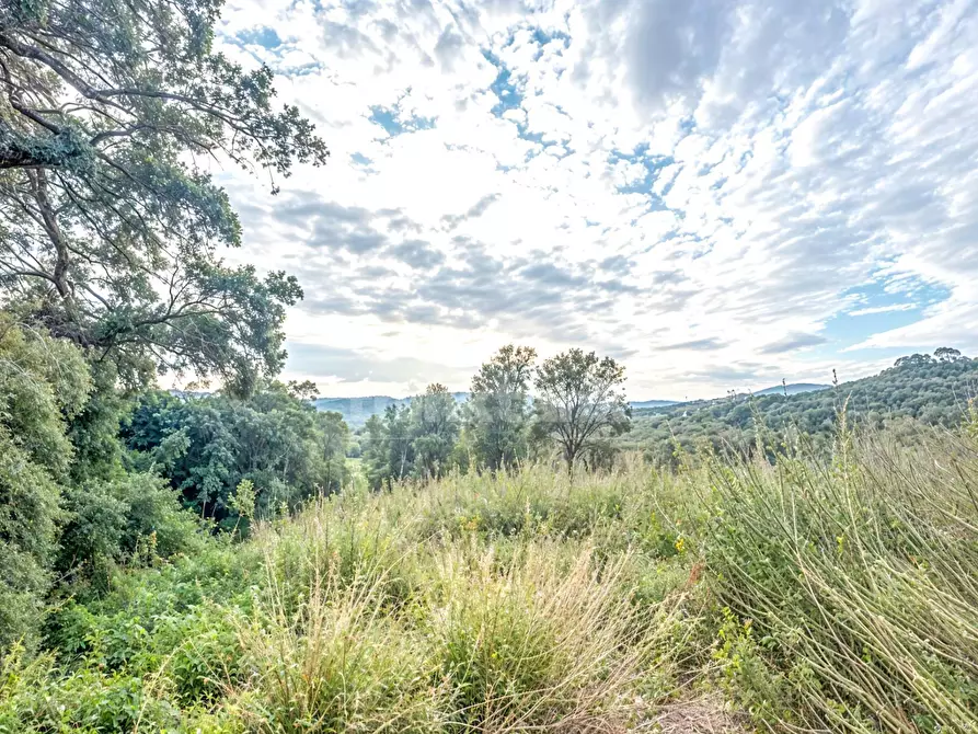 Immagine 10 di Rustico / casale in vendita  in via circonvallazione snc a Caltagirone
