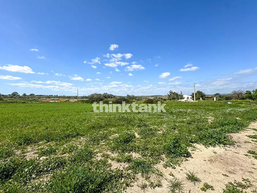 Immagine 2 di Terreno agricolo in vendita  in s.lorenzo IX strada snc a Noto