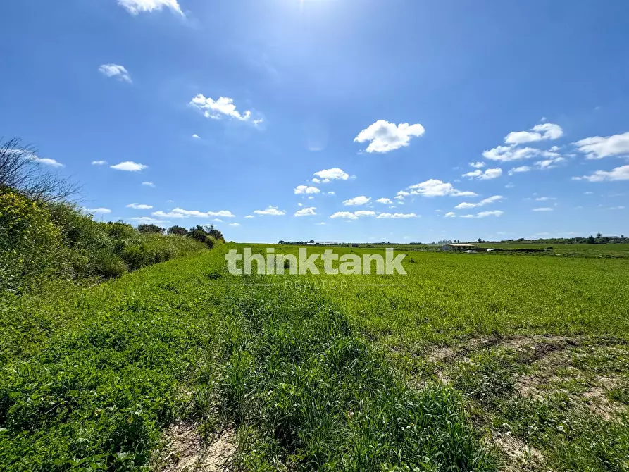 Immagine 3 di Terreno agricolo in vendita  in s.lorenzo IX strada snc a Noto