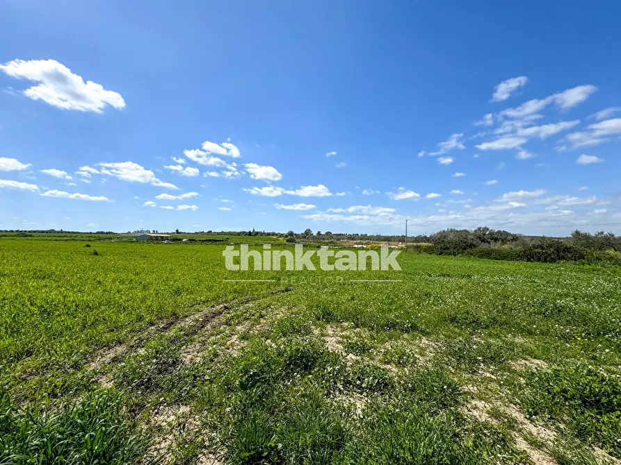Immagine 4 di Terreno agricolo in vendita  in s.lorenzo IX strada snc a Noto