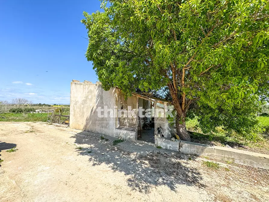 Immagine 4 di Rustico / casale in vendita  in Contrada Sciubbia a Noto