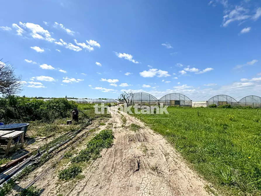 Immagine 7 di Rustico / casale in vendita  in Contrada Sciubbia a Noto