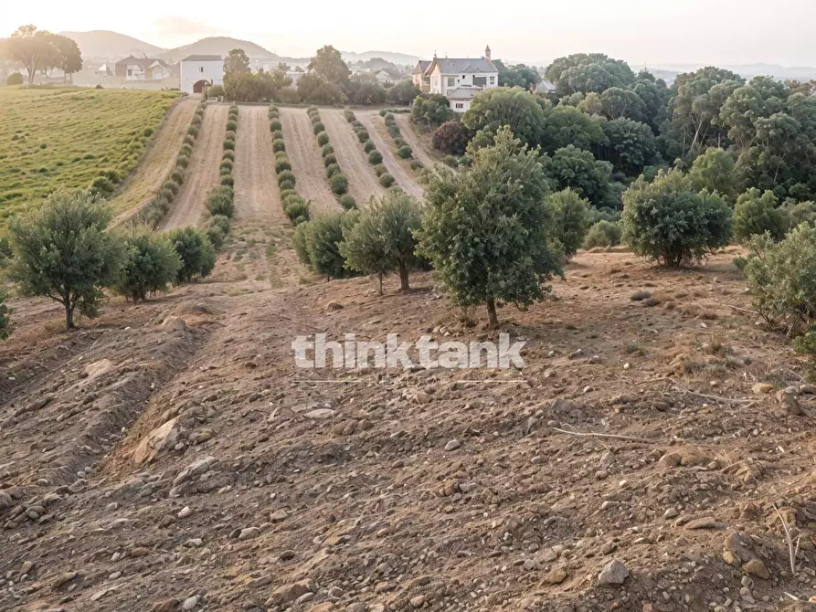Immagine 21 di Villa in vendita  in Eraclea Minoa snc a Cattolica Eraclea