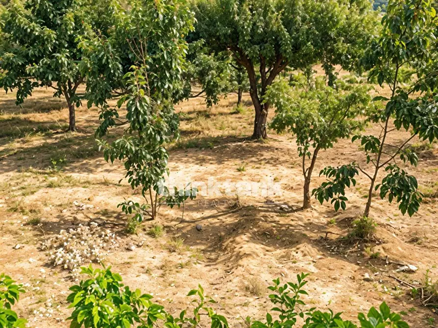 Immagine 25 di Villa in vendita  in Contrada Saldano Rabugino a Piazza Armerina