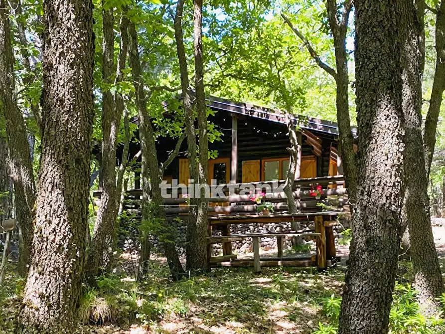 Immagine 3 di Villa in vendita  in Contrada Milia a Gravina Di Catania