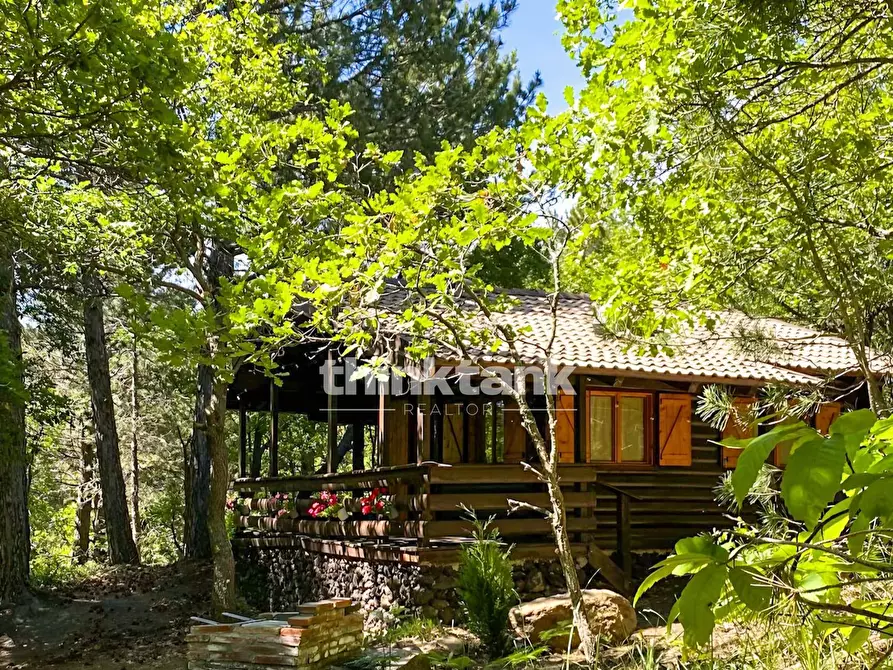 Immagine 2 di Villa in vendita  in Contrada Milia a Gravina Di Catania
