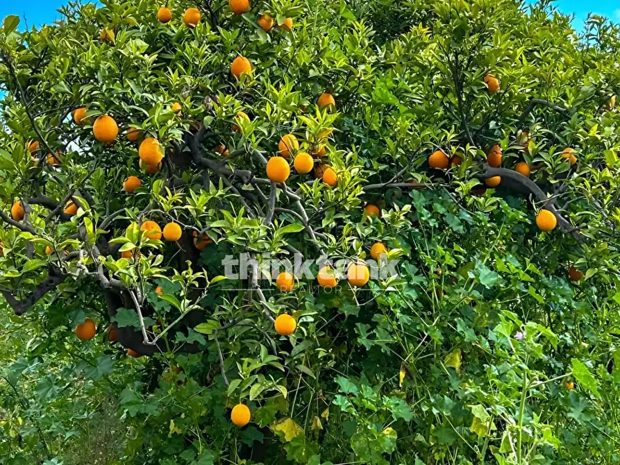 Immagine 11 di Villa in vendita  in Grotta dell' Acqua a Aidone