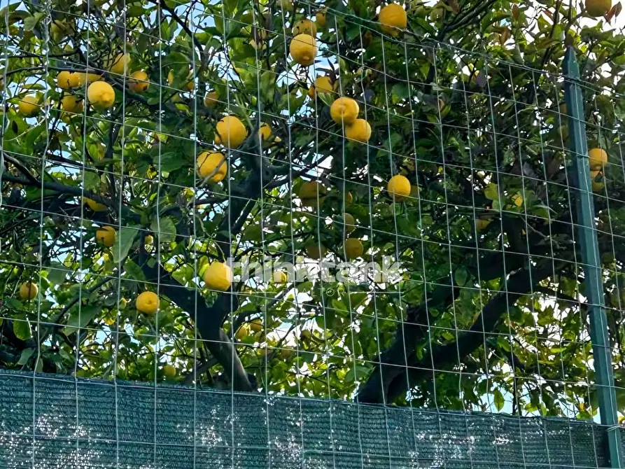 Immagine 12 di Villa in vendita  in Grotta dell' Acqua a Aidone