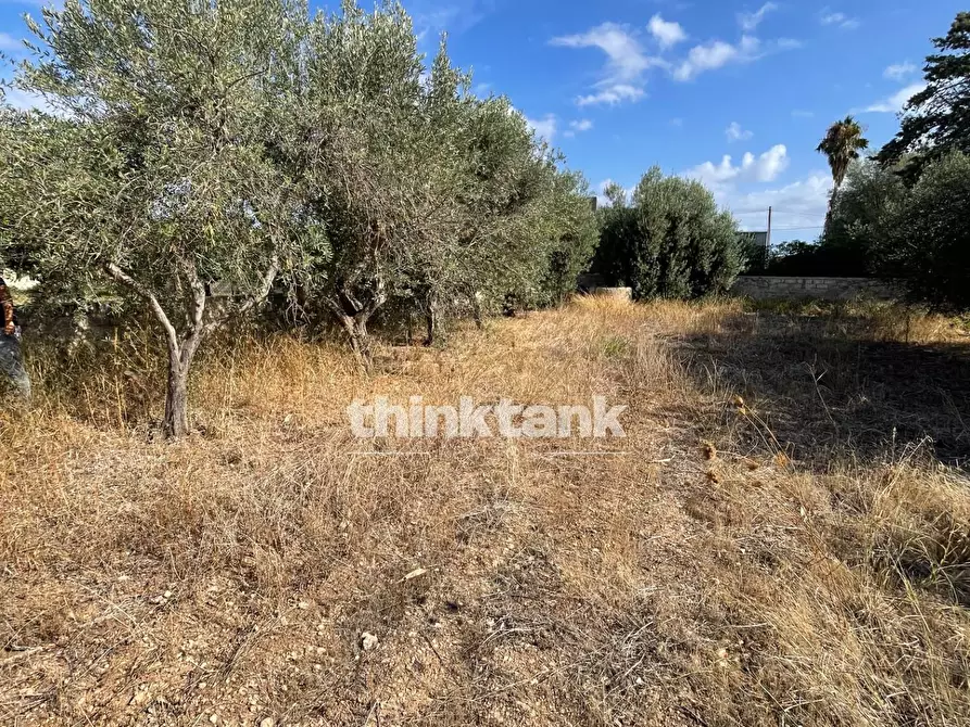 Immagine 2 di Terreno residenziale in vendita  in via dell'iride a Siracusa