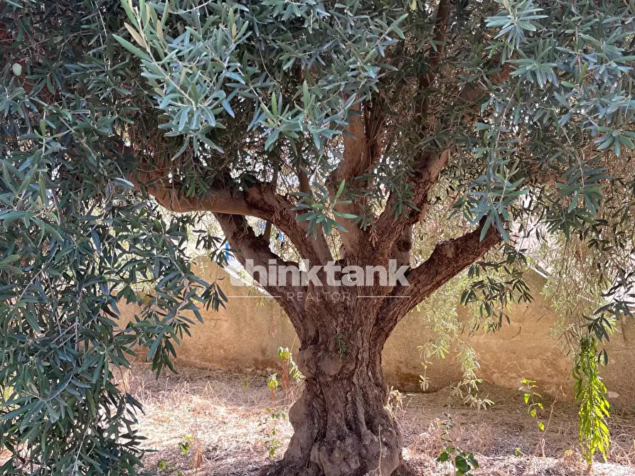 Immagine 7 di Terreno residenziale in vendita  in via dell'iride a Siracusa