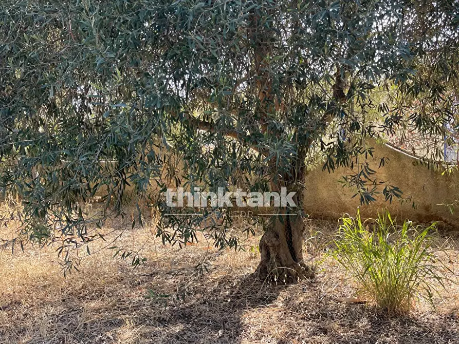 Immagine 8 di Terreno residenziale in vendita  in via dell'iride a Siracusa