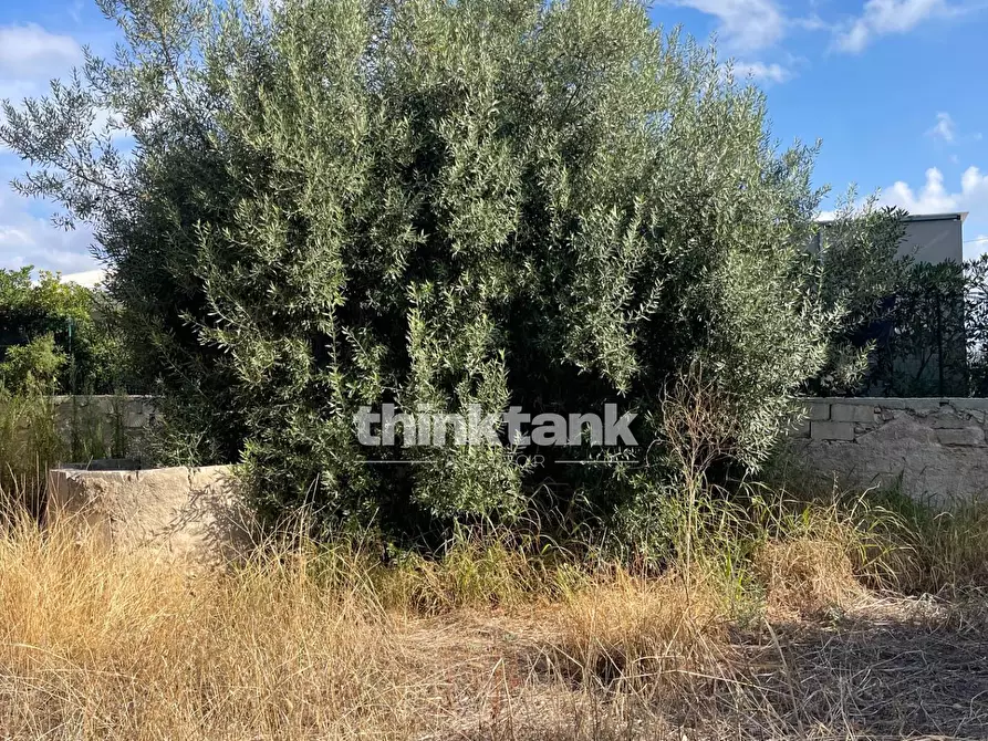 Immagine 9 di Terreno residenziale in vendita  in via dell'iride a Siracusa
