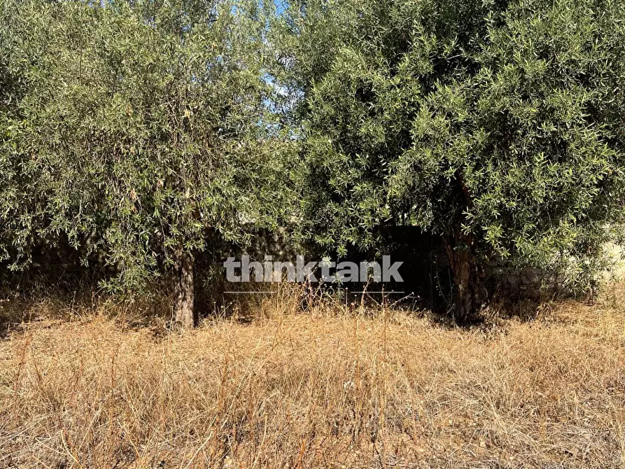 Immagine 10 di Terreno residenziale in vendita  in via dell'iride a Siracusa