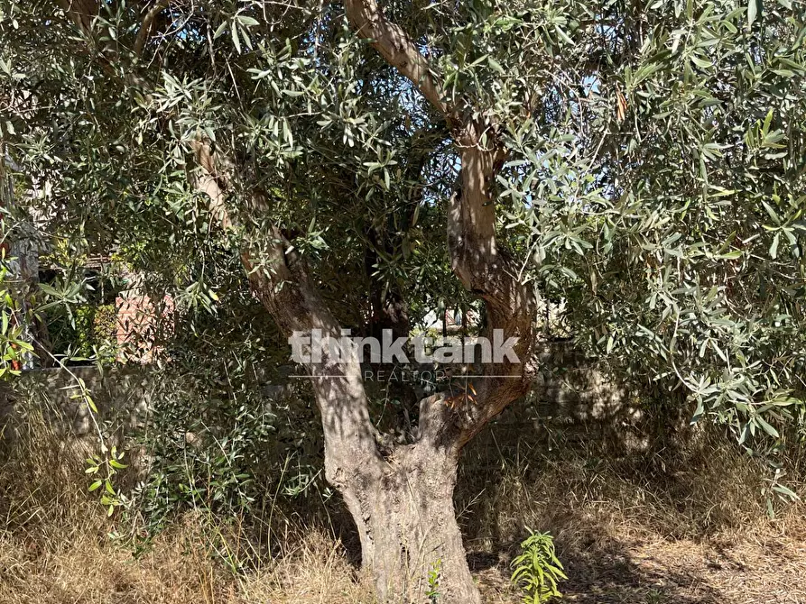 Immagine 11 di Terreno residenziale in vendita  in via dell'iride a Siracusa