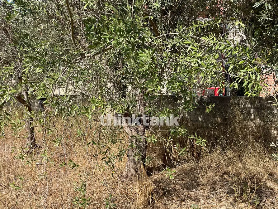 Immagine 12 di Terreno residenziale in vendita  in via dell'iride a Siracusa