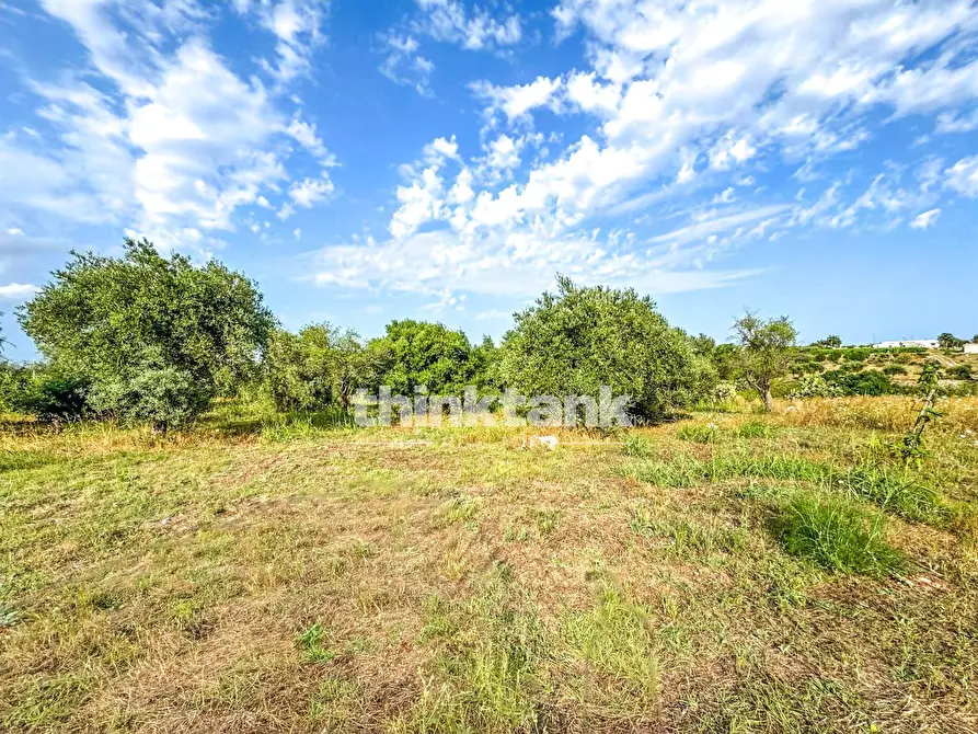 Immagine 14 di Rustico / casale in vendita  in Strada Diego a Siracusa