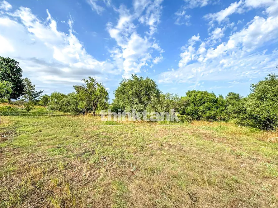 Immagine 15 di Rustico / casale in vendita  in Strada Diego a Siracusa