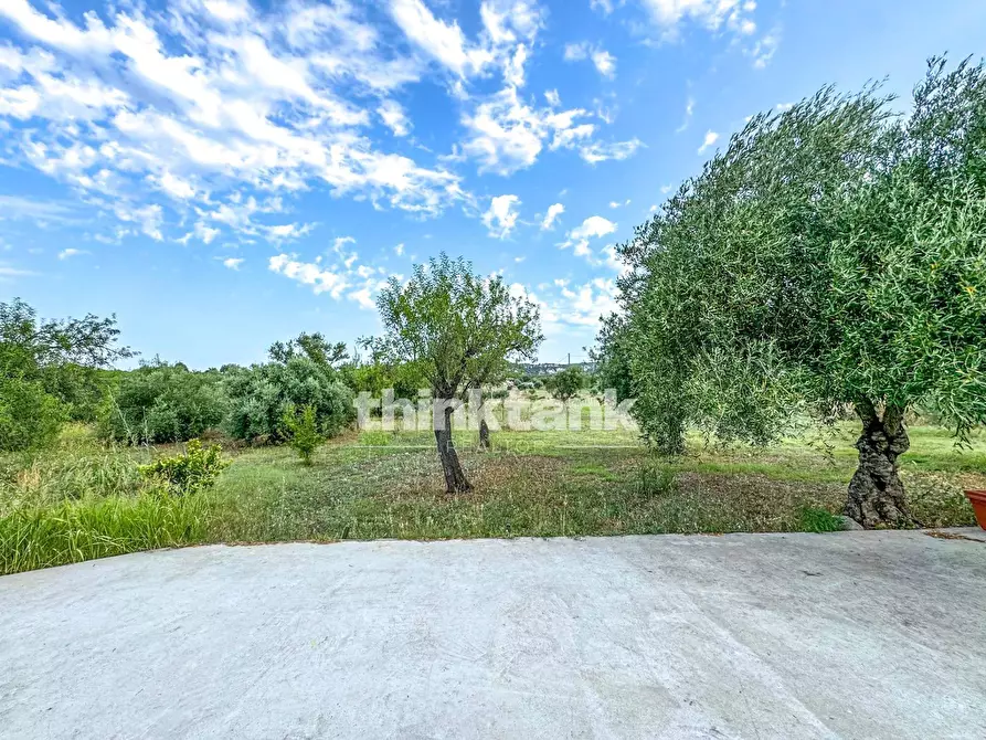 Immagine 17 di Rustico / casale in vendita  in Strada Diego a Siracusa