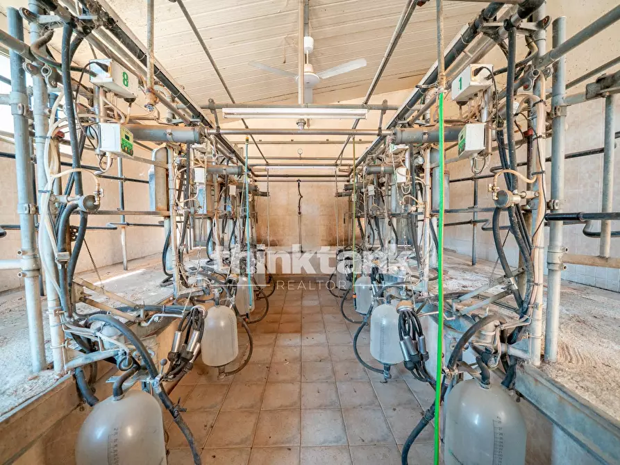 Immagine 32 di Rustico / casale in vendita  in Strada Statale 194 a Ragusa