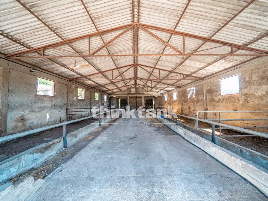 Immagine 40 di Rustico / casale in vendita  in Strada Statale 194 a Ragusa