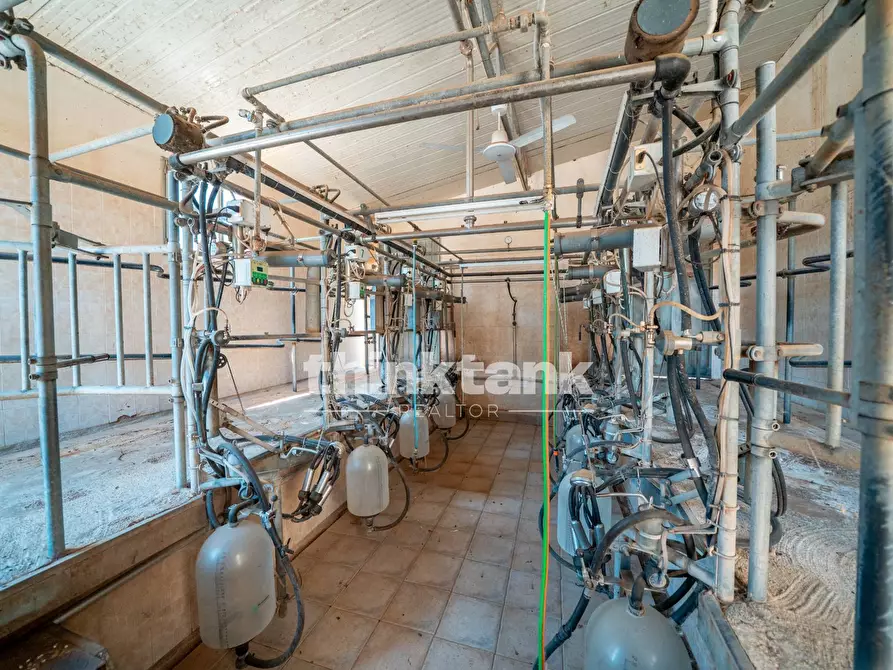 Immagine 44 di Rustico / casale in vendita  in Strada Statale 194 a Ragusa