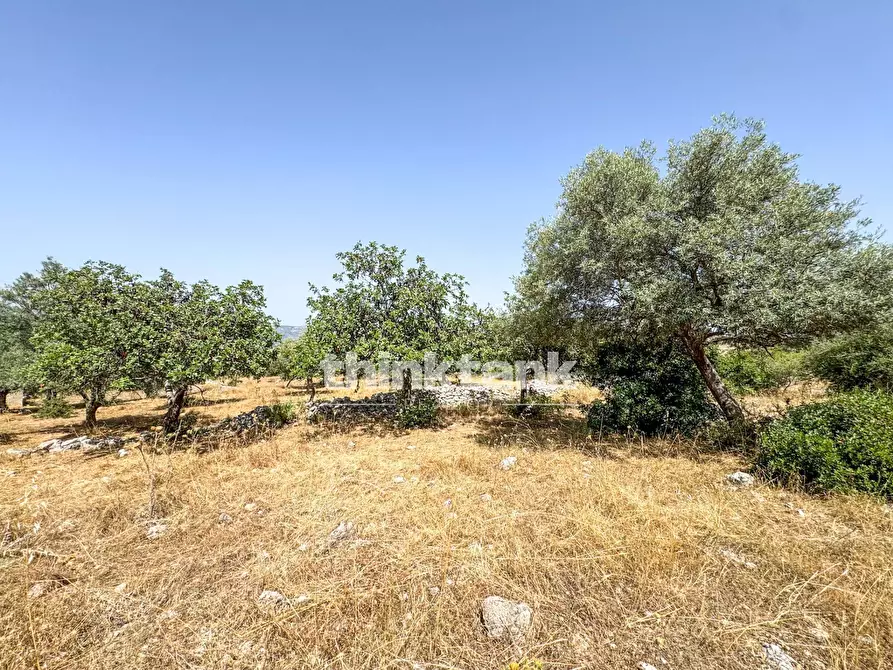 Immagine 2 di Terreno agricolo in vendita  in Strada Statale 124 a Buccheri