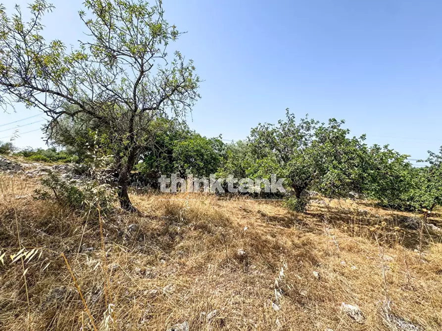 Immagine 3 di Terreno agricolo in vendita  in Strada Statale 124 a Buccheri