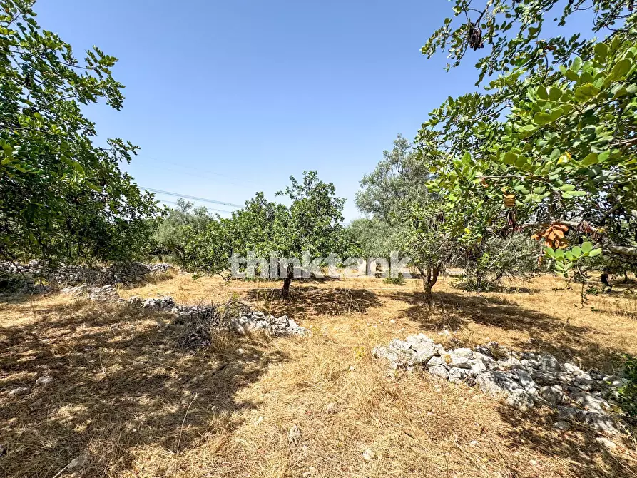 Immagine 4 di Terreno agricolo in vendita  in Strada Statale 124 a Buccheri