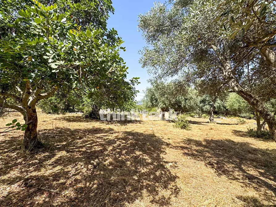 Immagine 5 di Terreno agricolo in vendita  in Strada Statale 124 a Buccheri