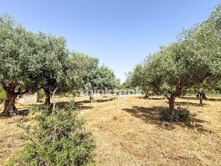 Immagine 6 di Terreno agricolo in vendita  in Strada Statale 124 a Buccheri