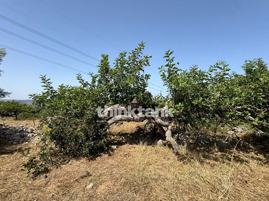 Immagine 10 di Terreno agricolo in vendita  in Strada Statale 124 a Buccheri