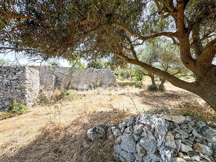Immagine 11 di Terreno agricolo in vendita  in Strada Statale 124 a Buccheri