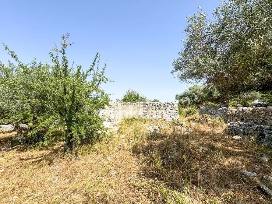 Immagine 12 di Terreno agricolo in vendita  in Strada Statale 124 a Buccheri