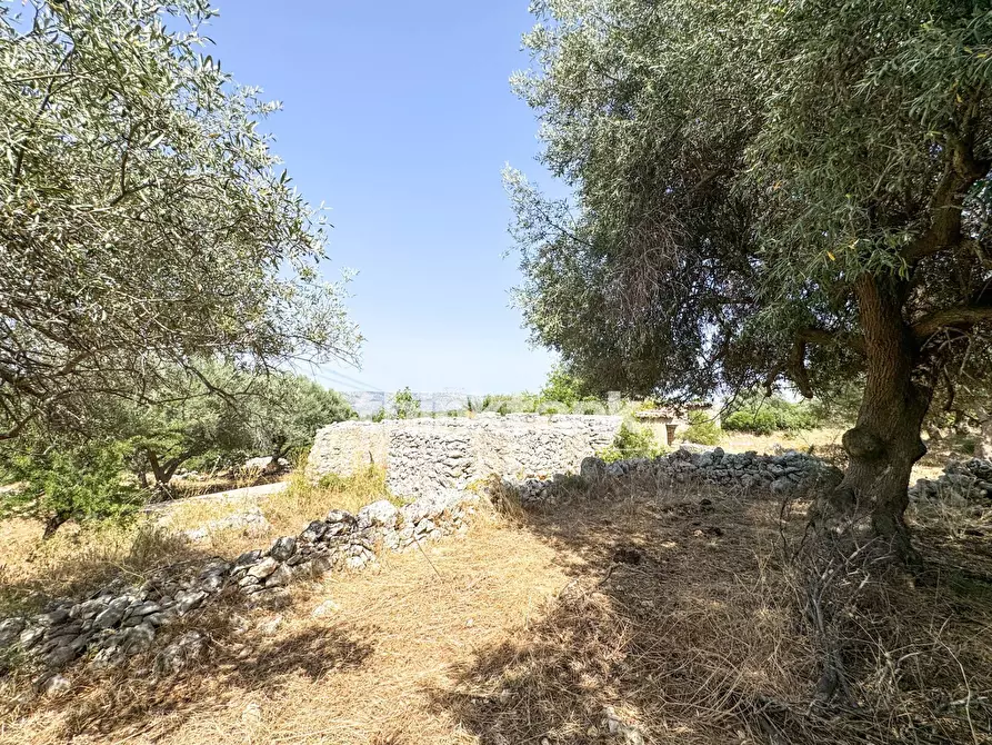 Immagine 13 di Terreno agricolo in vendita  in Strada Statale 124 a Buccheri