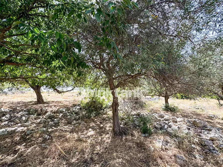 Immagine 14 di Terreno agricolo in vendita  in Strada Statale 124 a Buccheri