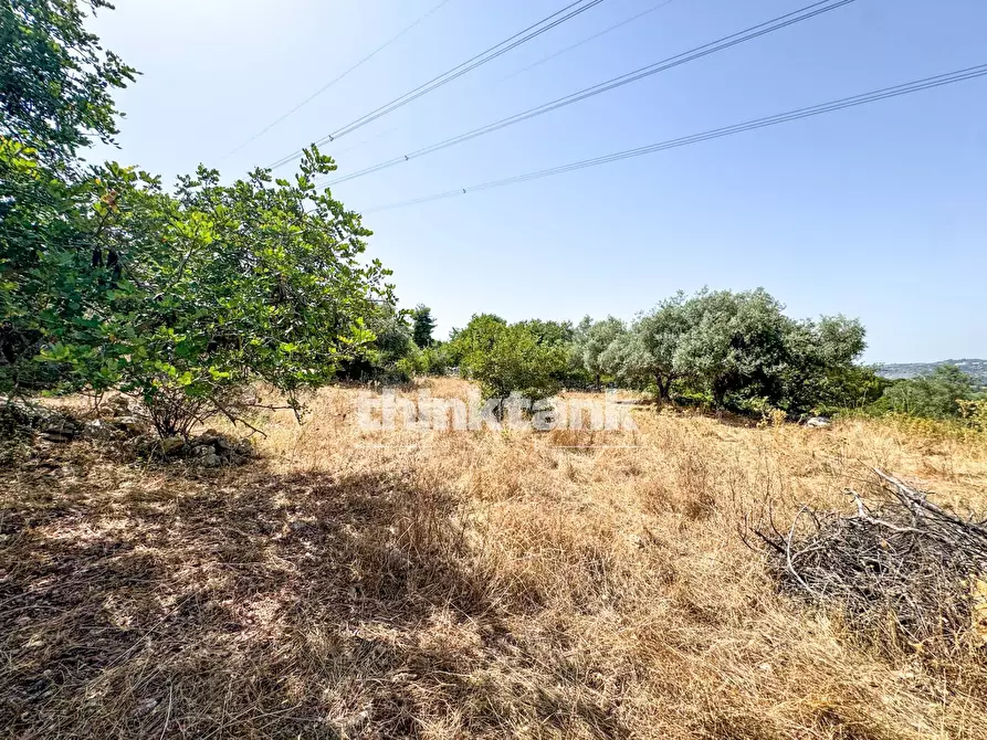 Immagine 16 di Terreno agricolo in vendita  in Strada Statale 124 a Buccheri